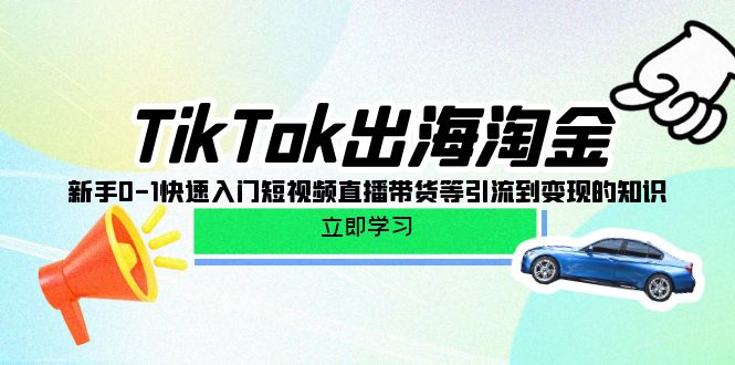 TikTok-出海淘金新手0-1快速入门短视频直播带货等引流到变现的知识