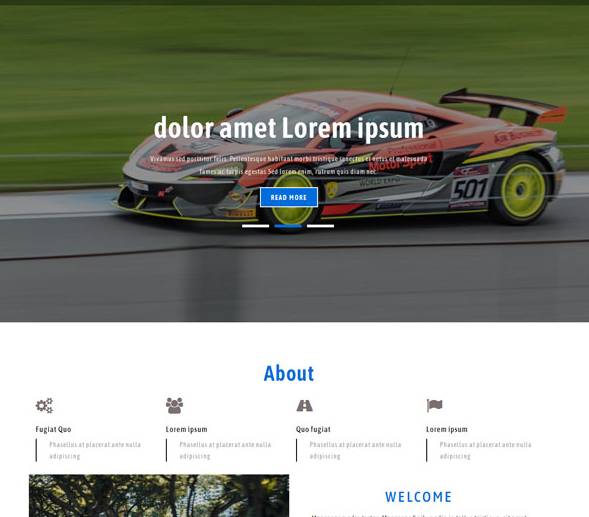 专业赛车拉力赛网站模板_php网站模板插图
