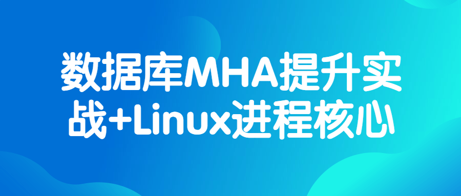 程序员课程：数据库MHA提升实战+Linux进程核心