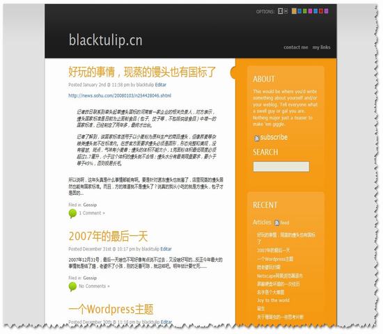 WordPress Skittlish年度佳18_Yunyiwl.com_wordpress主题插图