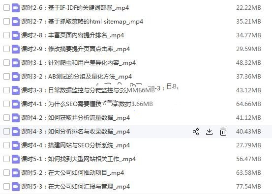 夫唯大型网站SEO执行方案视频教程