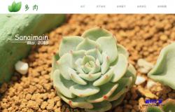 html植物花卉公司响应式网站模板_Yunyiwl.com网站源码下载插图
