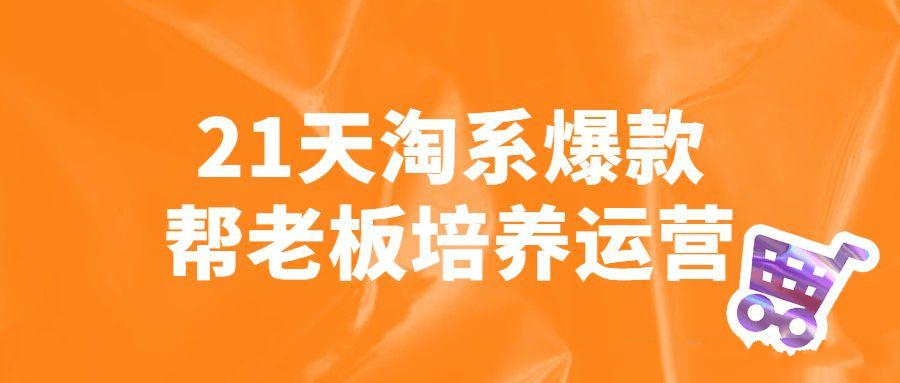 淘宝运营课程：21天淘系爆款帮老板培养运营