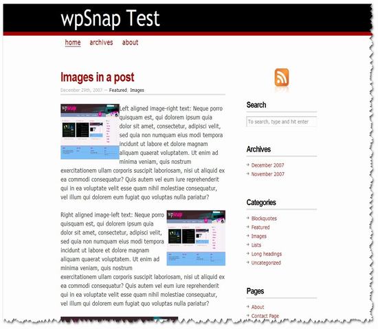 WordPress CopyBlogger年度佳13_Yunyiwl.com_wordpress主题插图