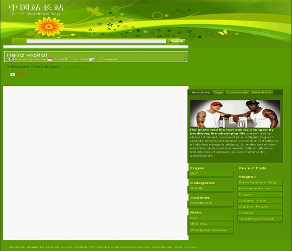 WordPress mintfresh模板_Yunyiwl.com_主题下载插图