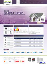 HTML-紫色猎头服务咨询公司模板_html网站模板插图